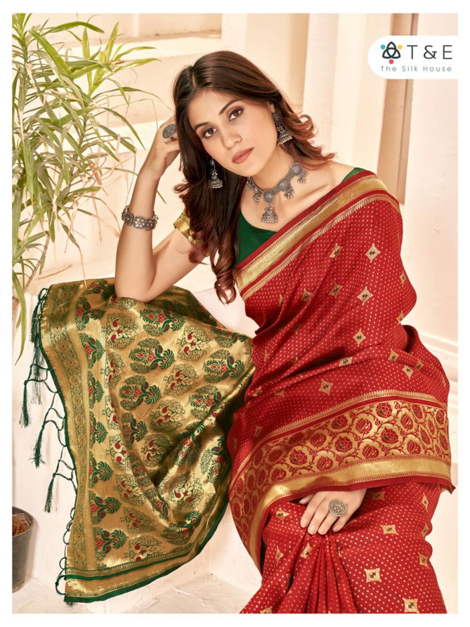 Aaradhya By T And E Party Wear Sarees Catalog